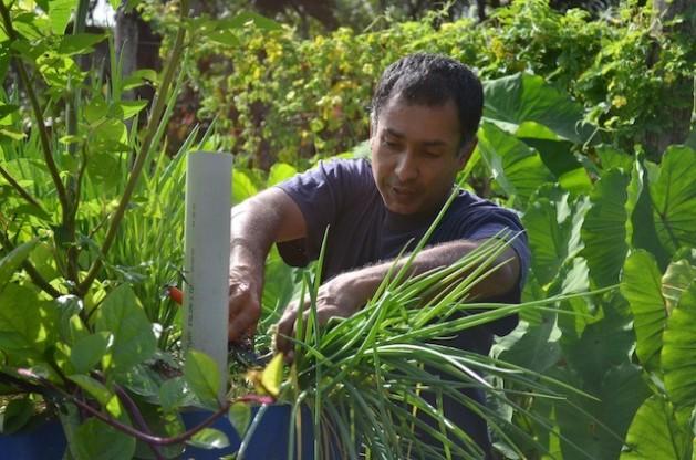 La permacultura lista para conquistar el Caribe