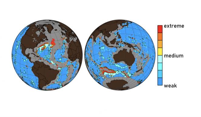 El CO2 antrópico destruye los fondos marinos