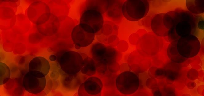 El secreto de la regeneración del hígado está en la sangre