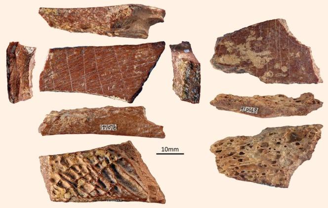 Descubren huesos humanos grabados hace 115.000 años