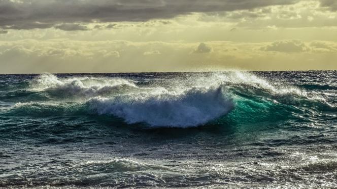 Los océanos pueden cambiar el rumbo de la crisis climática