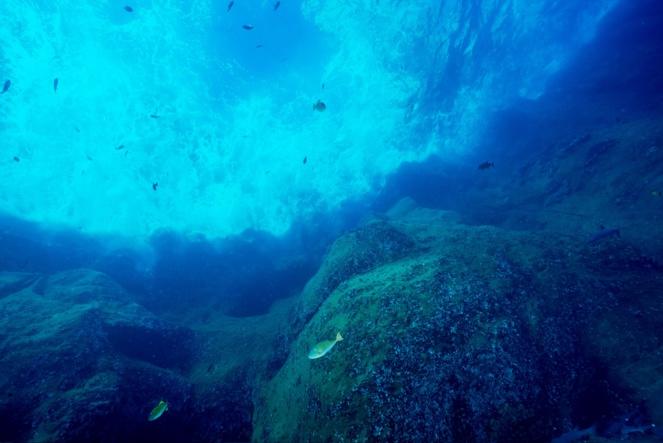 Los océanos están perdiendo ingentes cantidades de oxígeno