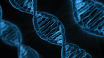 Nueva herramienta genética identifica personas en riesgo de enfermedad coronaria