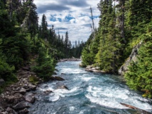 Casi el 70 por ciento de los ríos del mundo están desprotegidos