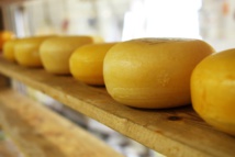 Inteligencia artificial para catar quesos