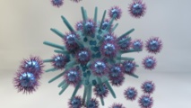 Crean el primer antivirus de amplio espectro no tóxico
