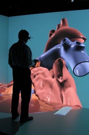 Lanzan la primera simulación en 3D de un corazón humano completo