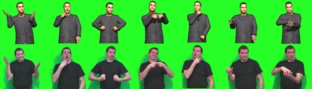 Personajes animados para expresar la lengua de signos en Internet