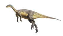 Descubren una nueva especie de dinosaurio del Jurásico ibérico