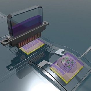 Transistores impresos con una tinta que lleva anticuerpos diagnosticarán enfermedades
