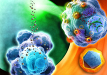 Prueban nanopartículas de óxido de hierro contra tumores en ratones