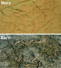 Formas halladas en rocas marcianas sugieren que hubo vida en el Planeta Rojo