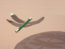 Proyectan fabricar una libélula artificial que vuela mediante nanomúsculos
