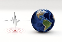 Los animales no tienen un sexto sentido para predecir terremotos