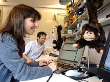 Monos artificiales facilitan la comunicación en la oficina