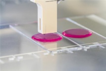 Nuevo avance hacia los órganos artificiales: imprimen en 3D un sistema circulatorio 