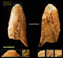 Una herramienta multiusos, nueva prueba de la inteligencia casi sapiens del neandertal