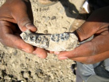Encuentran un fósil de los primeros humanos