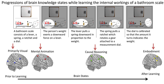 Un experimento muestra cómo nuestro cerebro aprende los conceptos técnicos 