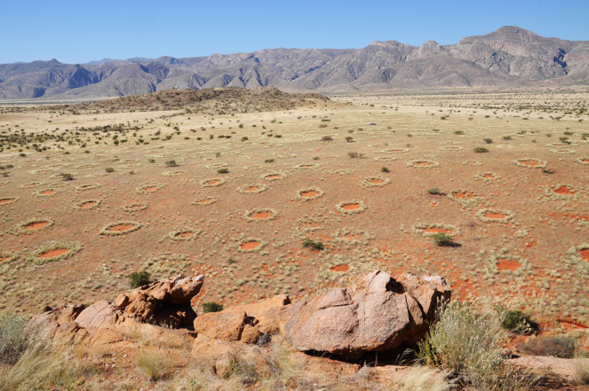 Los misteriosos ‘círculos de hadas’ de Namibia se distribuyen como células de la piel