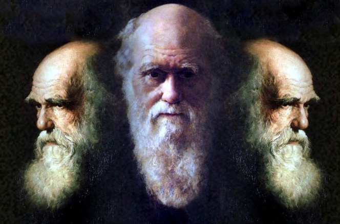Darwin convenció al mundo, pero no fue el primero en describir la evolución