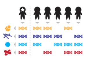 El ADN del microbioma permite identificar a cada individuo
