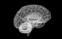 El estado de trance prepara al cerebro para el conocimiento, según un estudio