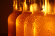 Beber alcohol crea un círculo vicioso en las estructuras neuronales