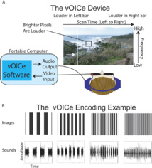 Un dispositivo traduce las imágenes en sonido para ayudar a los ciegos a ver