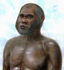 Los humanos pre-modernos pudieron extinguirse más tarde de lo que se creía 