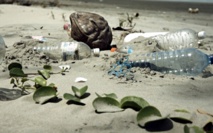 Usan bacterias del mar y de vertederos para descomponer los residuos plásticos 