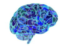 Diferencias cerebrales individuales que propician la inteligencia 