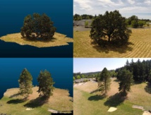 Crean un simulador forestal en 3D para predecir el cambio climático