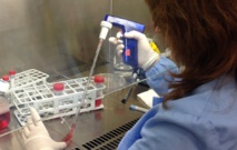 Encuentran una relación entre la reprogramación celular y la leucemia