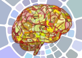 Las personas impulsivas tienen menos materia gris en el cerebro