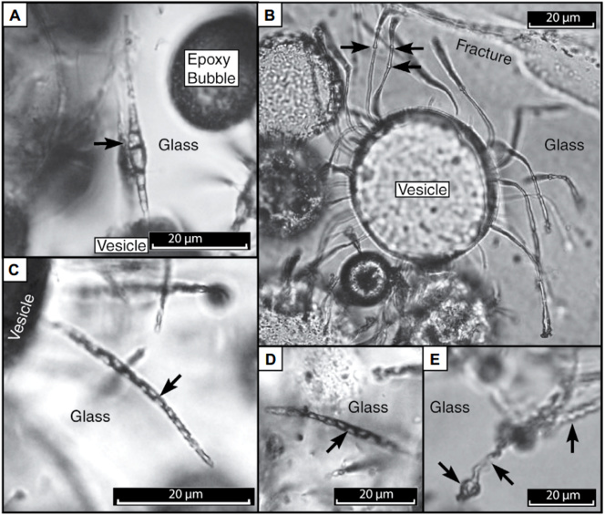 Los microbios hacen microtúneles en zonas volcánicas de la Tierra y quizás de Marte