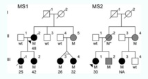 Descubren una mutación genética muy relacionada con la esclerosis múltiple