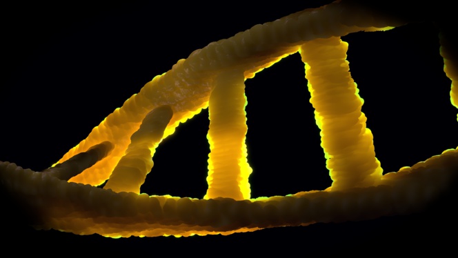 Descubren una mutación genética muy relacionada con la esclerosis múltiple