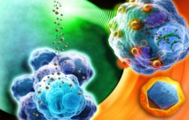 Nanopartículas “reportero” liberan fármacos en tumores e informan de su eficacia 
