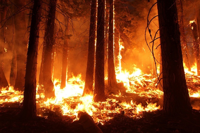 La extinción de los incendios forestales es una batalla perdida 