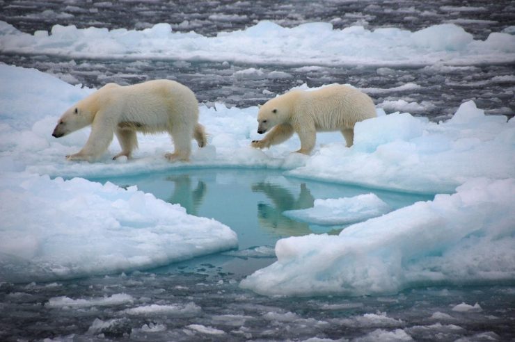 El hielo marino ártico ya está sentenciado