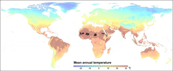 Temperaturas saharianas asolarán al planeta en 2050