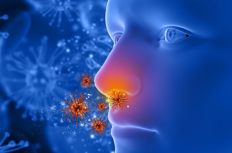 La alergia puede ser una confusión del cerebro