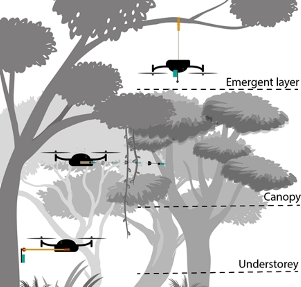 Los drones sustituyen a los duendes del bosque