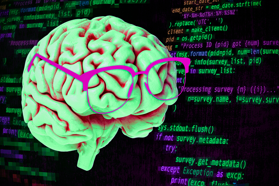 El cerebro usa neuronas complejas para entender la informática