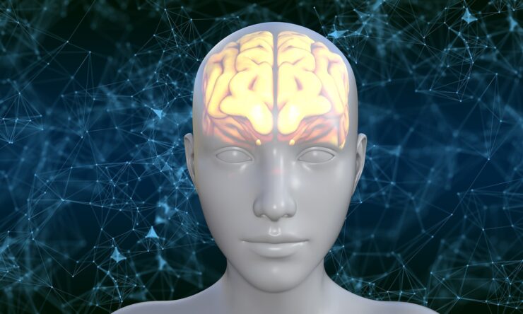El cerebro puede repararse mediante sinapsis sintéticas