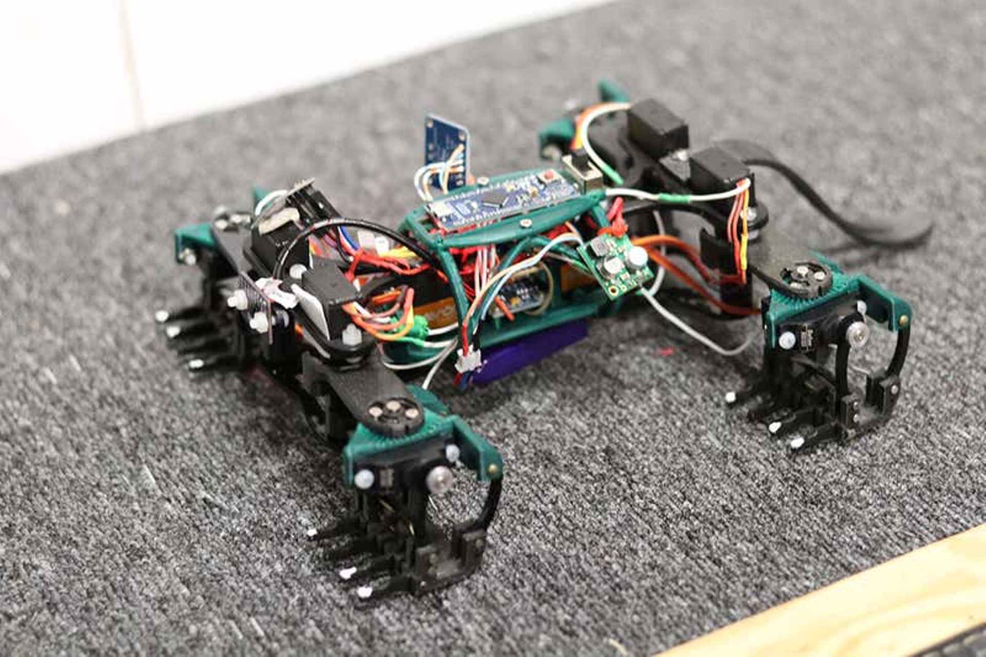 Crean un lagarto robot que trepa por las paredes
