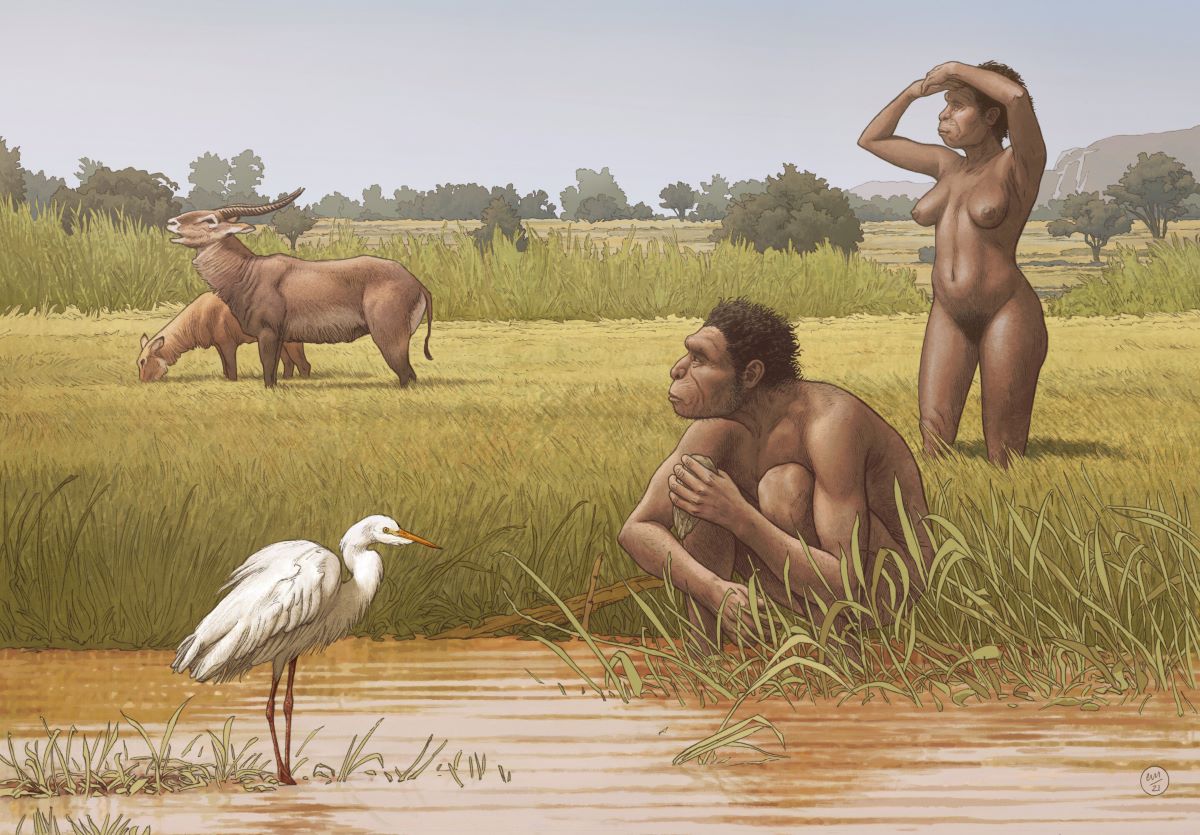Una nueva especie de ancestro humano aclara el origen histórico de la humanidad