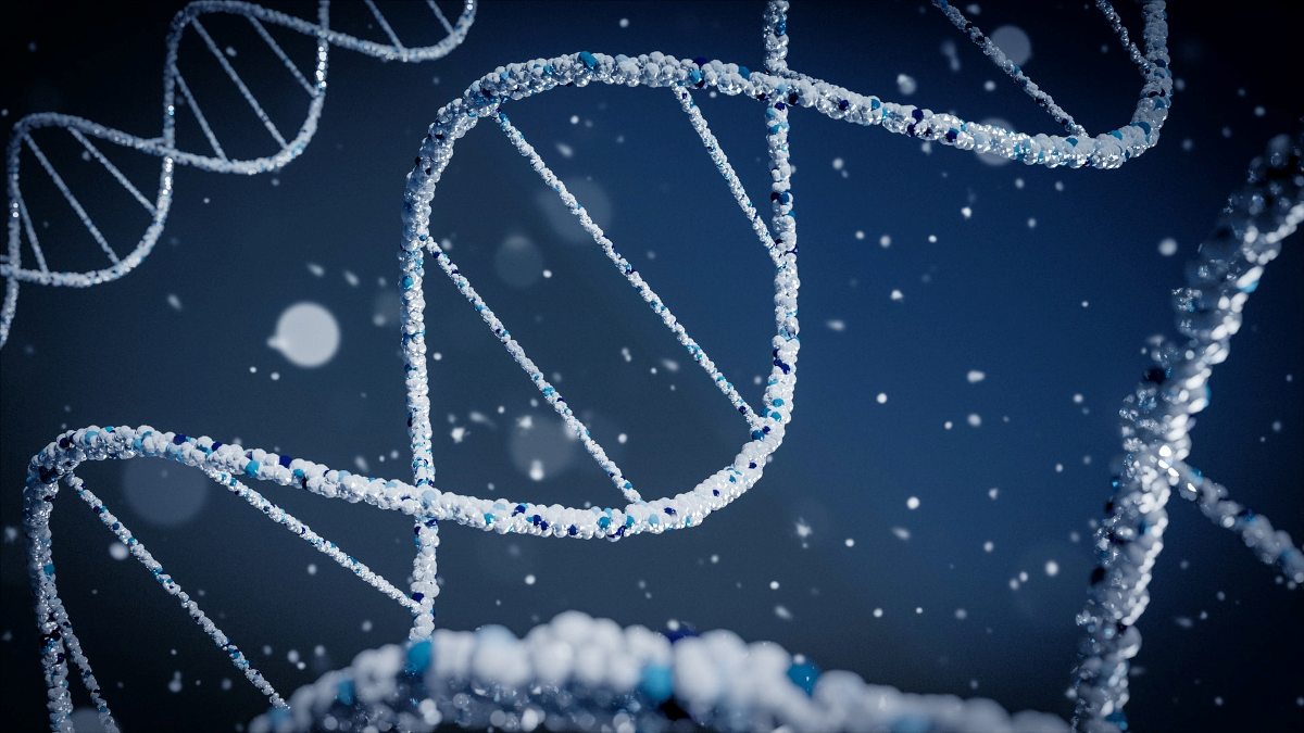 Nuestro ADN se convierte en el disco duro más pequeño del mundo