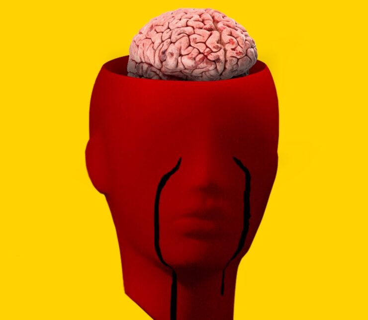 El cerebro modula el dolor según lo que tenemos en mente